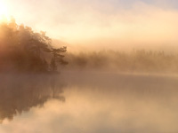 Magic of morning