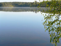 Harmony of morning