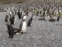 Tierra del Fuego