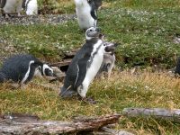 Tierra del Fuego