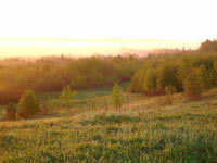 Harmony of morning