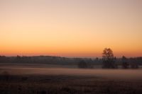 Magic of morning