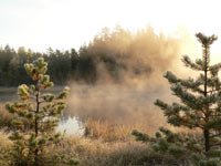 Magic of morning