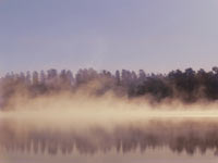 Harmony of morning