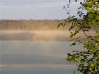 Harmony of morning