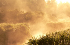 Magic of morning