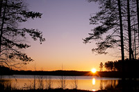 Magic of morning