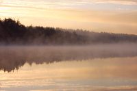 Magic of morning