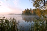 Magic of morning