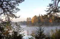 Magic of morning