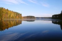 Harmony of morning