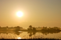 Magic of morning