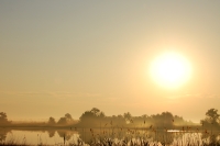 Magic of morning