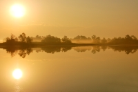 Magic of morning