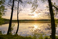 Magic of morning