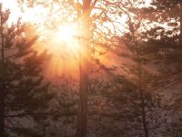 Magic of morning