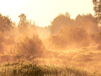 Magic of morning