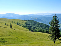 Expanse over the mountains