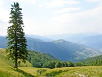 Expanse over the mountains