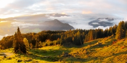 In mountains