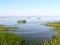 Sea expanse