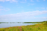 Sea expanse