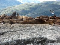 Tierra del Fuego