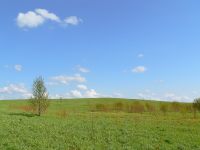 Tenderness of spring
