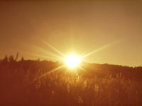 Magic of morning