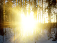 Magic of morning