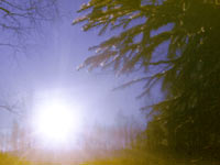 Magic of morning