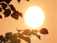 Magic of morning