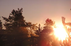 Magic of morning