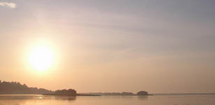 Magic of morning