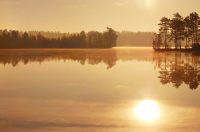 Magic of morning