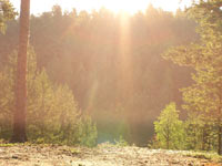 Magic of morning