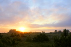 Magic of morning
