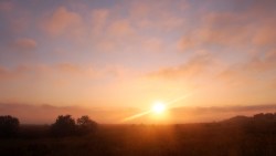 Magic of morning