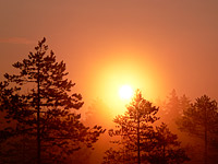 Magic of morning