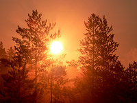 Magic of morning