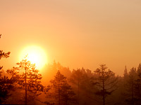 Magic of morning