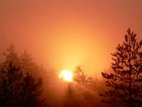 Magic of morning