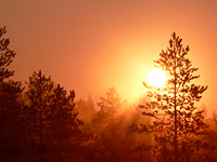 Magic of morning