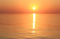 Magic of morning
