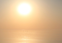 Magic of morning