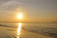 Magic of morning