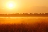 Magic of morning
