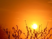Magic of morning