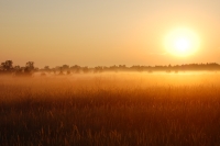 Magic of morning