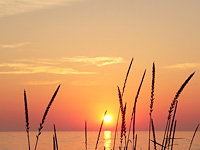 Sunrise Over the Sea